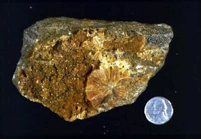 Stilbite - A member of the zeolite group, this radiating specimen of stilbite hails from 44th Street and Second Avenue. Stilbite is a common mineral in NYC found in association with faults and fault zones. Chamberlin Collection #562.