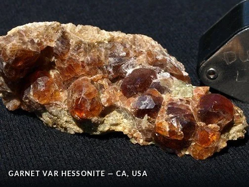 Garnet var Hessonite - CA, USA.jpg