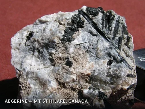 Aegerine - MtStHilare, Canada.jpg