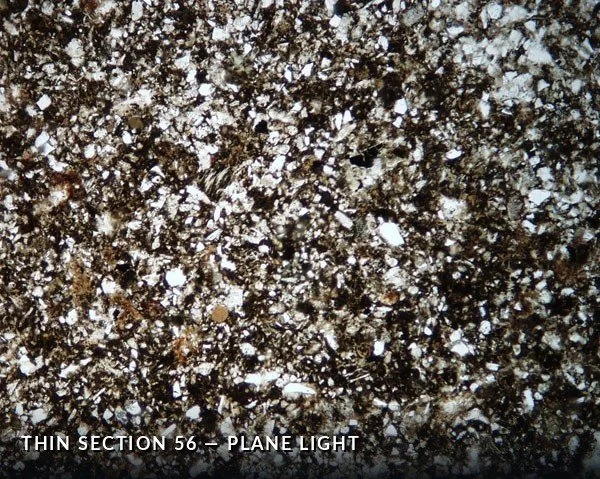 Thin Section 56 - Plane Light.jpg