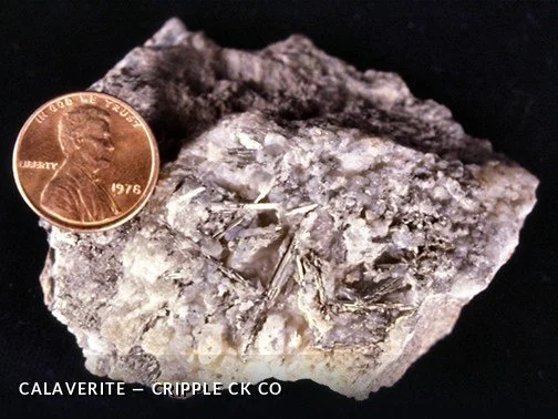 Calaverite - CrippleCkCOCrop.jpg