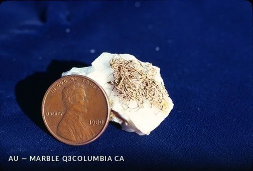Au - MarbleQ3ColumbiaCA.jpg
