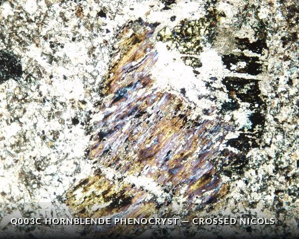 Q003C Hbl Pheno XN.jpg