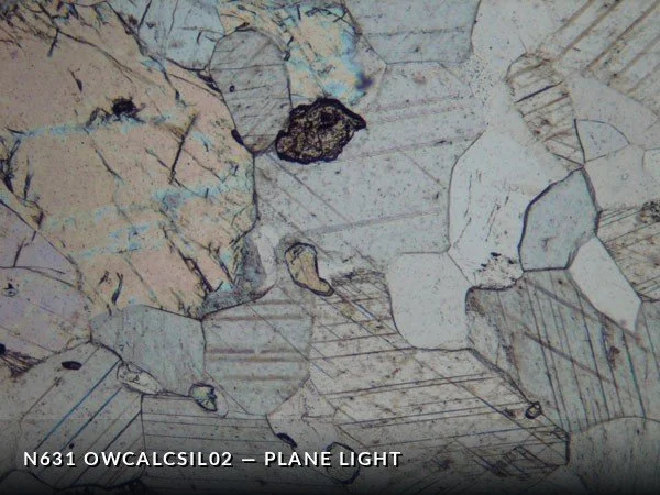 N631_OwCalcSil02PL.jpg