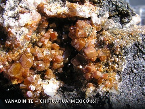 Vanadinite - Chihuahua, Mexico (6).jpg