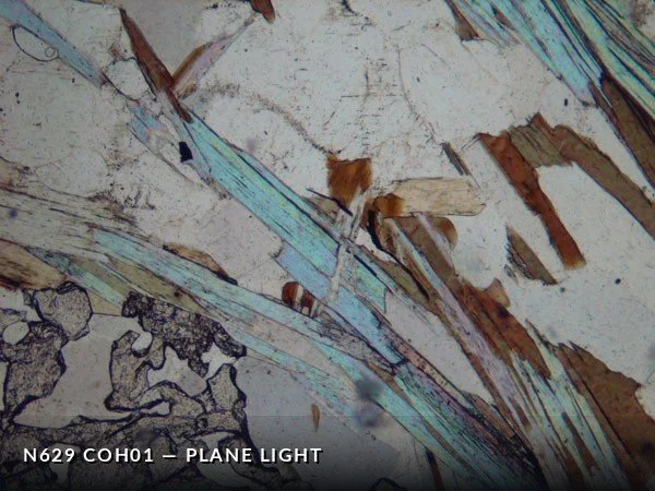 N629_COh01PL.jpg