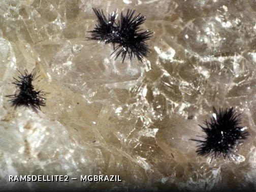 Ramsdellite2 - MGBrazilCrop.jpg
