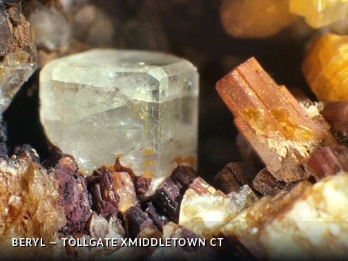 Beryl - TollgateXMiddletownCTCrop.jpg