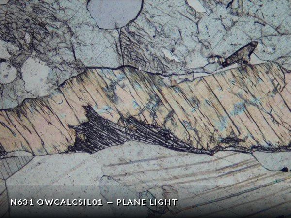 N631_OwCalcSil01PL.jpg
