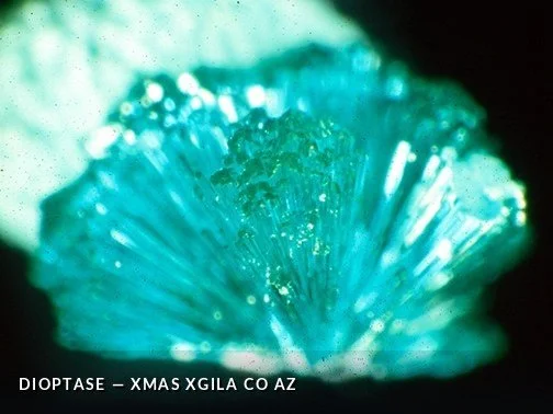 Dioptase - XmasXGilaCoAZCrop.jpg