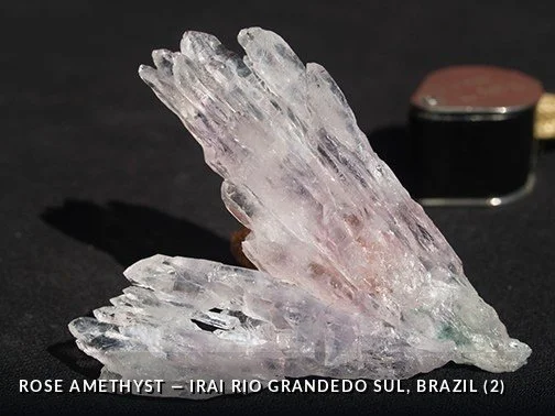 RoseAmethyst - IraiRioGrandedoSul, Brazil (2).jpg