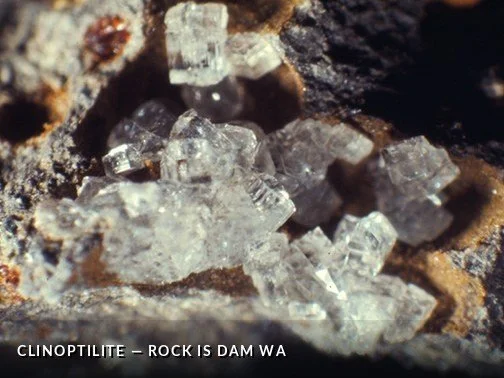 Clinoptilite - RockIsDamWACrop.jpg