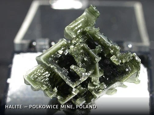 Halite - PolkowiceMine, Poland.jpg