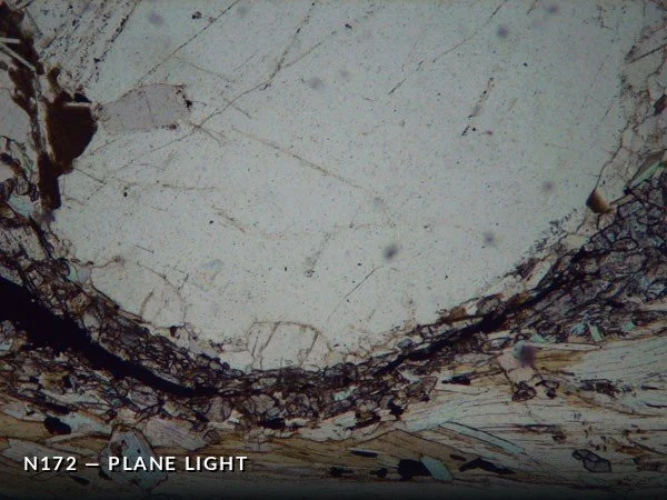 N172PL.jpg