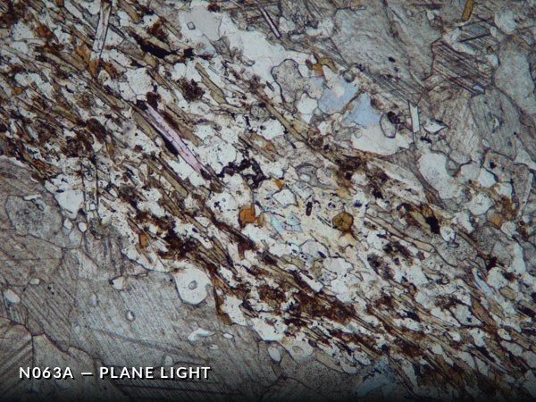 N063aPL.jpg
