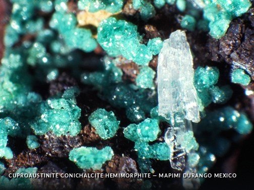 CuproaustiniteConichalciteHemimorphite - MapimiDurangoMexicoCrop.jpg
