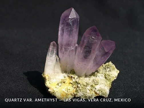 Quartz var. Amethyst - LasVigas, VeraCruz, Mexico.jpg