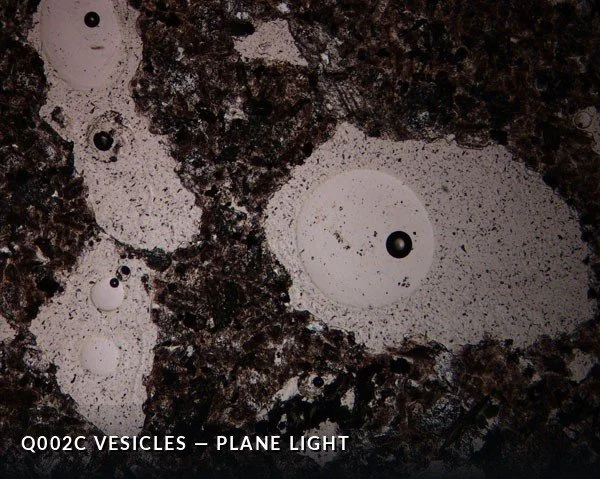Q002C Vesicles PL.jpg