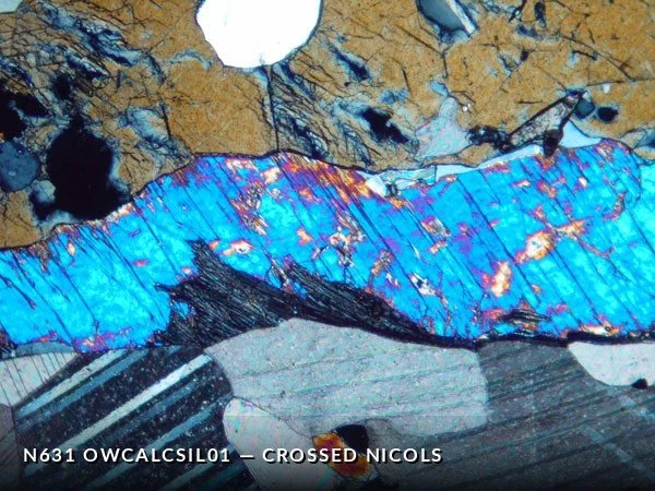 N631_OwCalcSil01XN.jpg
