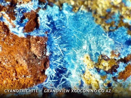 Cyanotrichite - GrandviewXCoconinoCoAZCrop.jpg