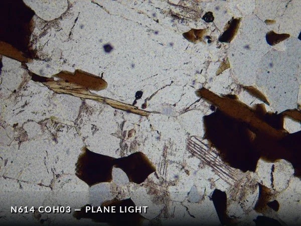 N614_COh03PL.jpg