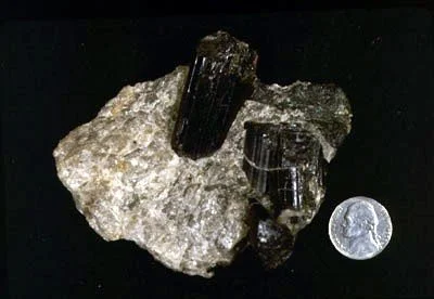 Black Tourmaline - Throughout New England, black-colored tourmaline (variety schorl) is found in association with granitoid dikes and other small injections into metamorphic wallrocks. This crystal specimen is in smoky quartz from 105th Street and Fi