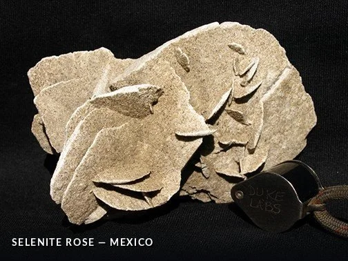 Selenite Rose - Mexico.jpg