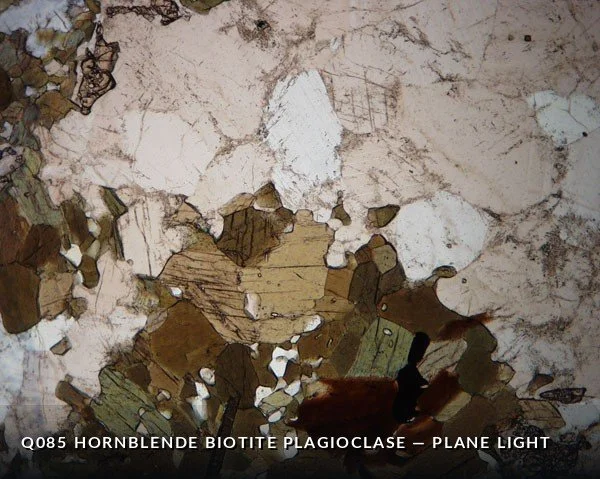 Q085 Hbl Bio Plag PL.jpg