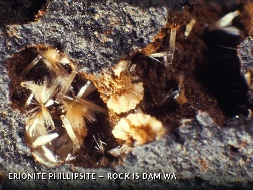 ErionitePhillipsite - RockIsDamWACrop.jpg