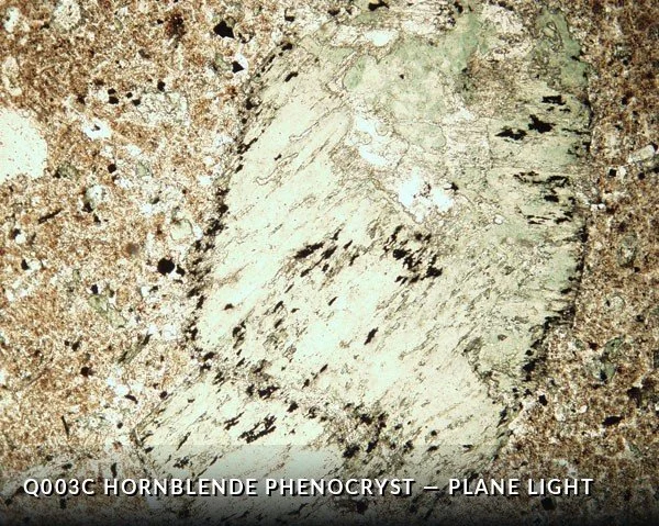 Q003C Hbl Pheno PL.jpg