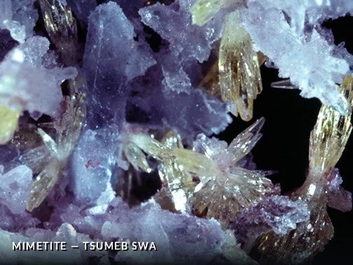 Mimetite - TsumebSWACrop.jpg