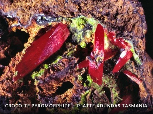 CrocoitePyromorphite - PlatteXDundasTasmaniaCrop.jpg