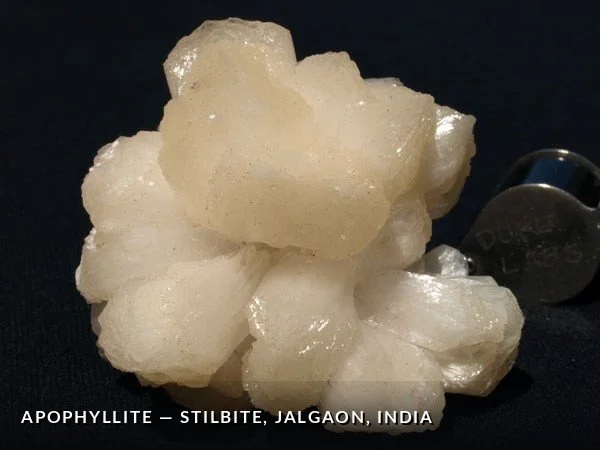 P107a - Apophyllite-Stilbite, Jalgaon, India.jpg