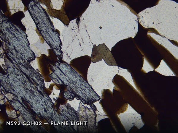N592_COh02PL.jpg