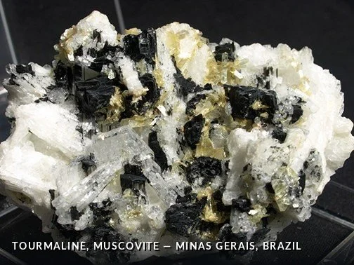 Tourmaline, Muscovite - MinasGerais, Brazil.jpg