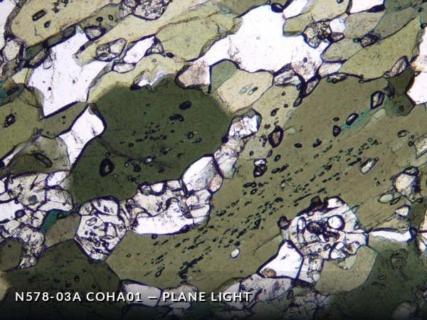 N578-03a_COha01PL.jpg
