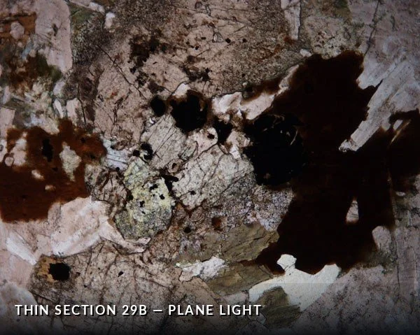 Thin Section 29b - Plane Light.jpg