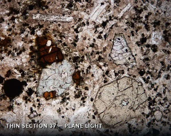 Thin Section 37 - Plane Light.jpg