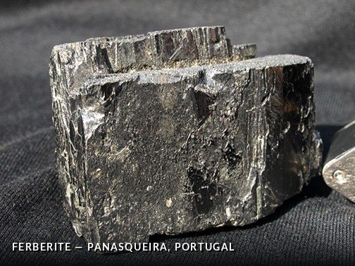 Ferberite - Panasqueira, Portugal.jpg