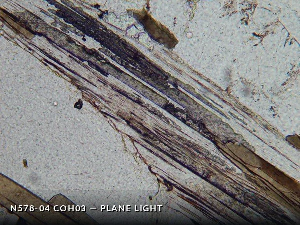 N578-04_COh03PL.jpg