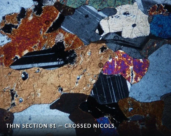 Thin Section 81 - Crossed Nicols.jpg