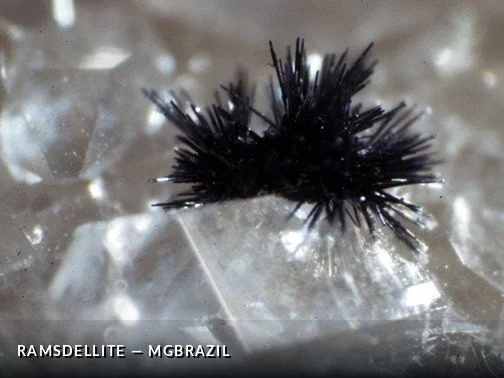 Ramsdellite - MGBrazilCrop.jpg