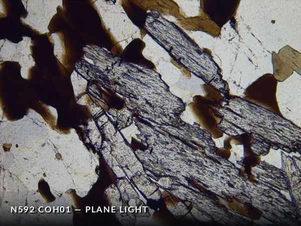 N592_COh01PL.jpg