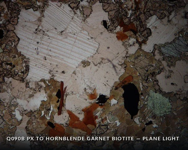 Q090B Px to Hbl Gt Bio PL.jpg