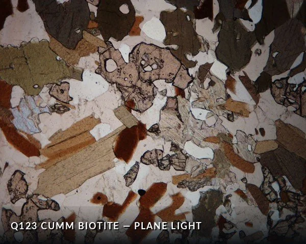 Q123 Cumm Bio PL.jpg