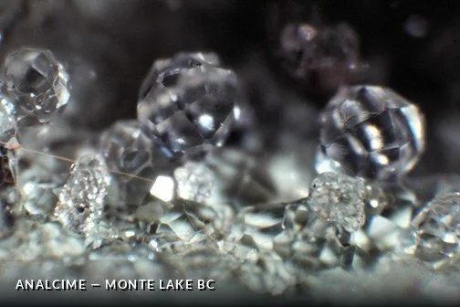Analcime - MonteLakeBCCrop.jpg