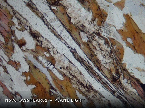 N596_OwShear01PL.jpg