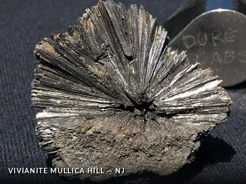 VivianiteMullicaHill - NJ.jpg