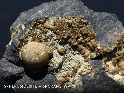 Spherosiderite - Spokane, WA (3).jpg