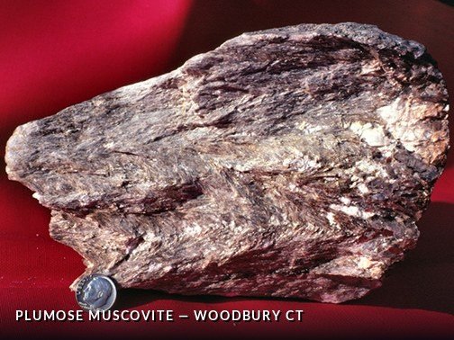 PlumoseMuscovite - WoodburyCTCrop.jpg